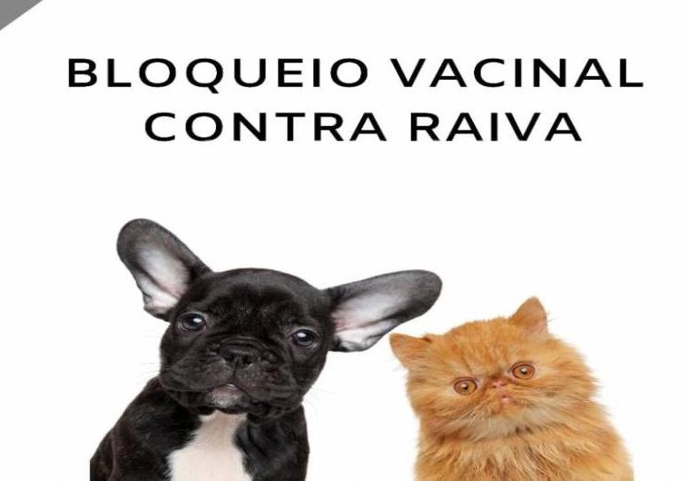 Prefeitura realiza bloqueio vacinal contra raiva em Muquiçaba  