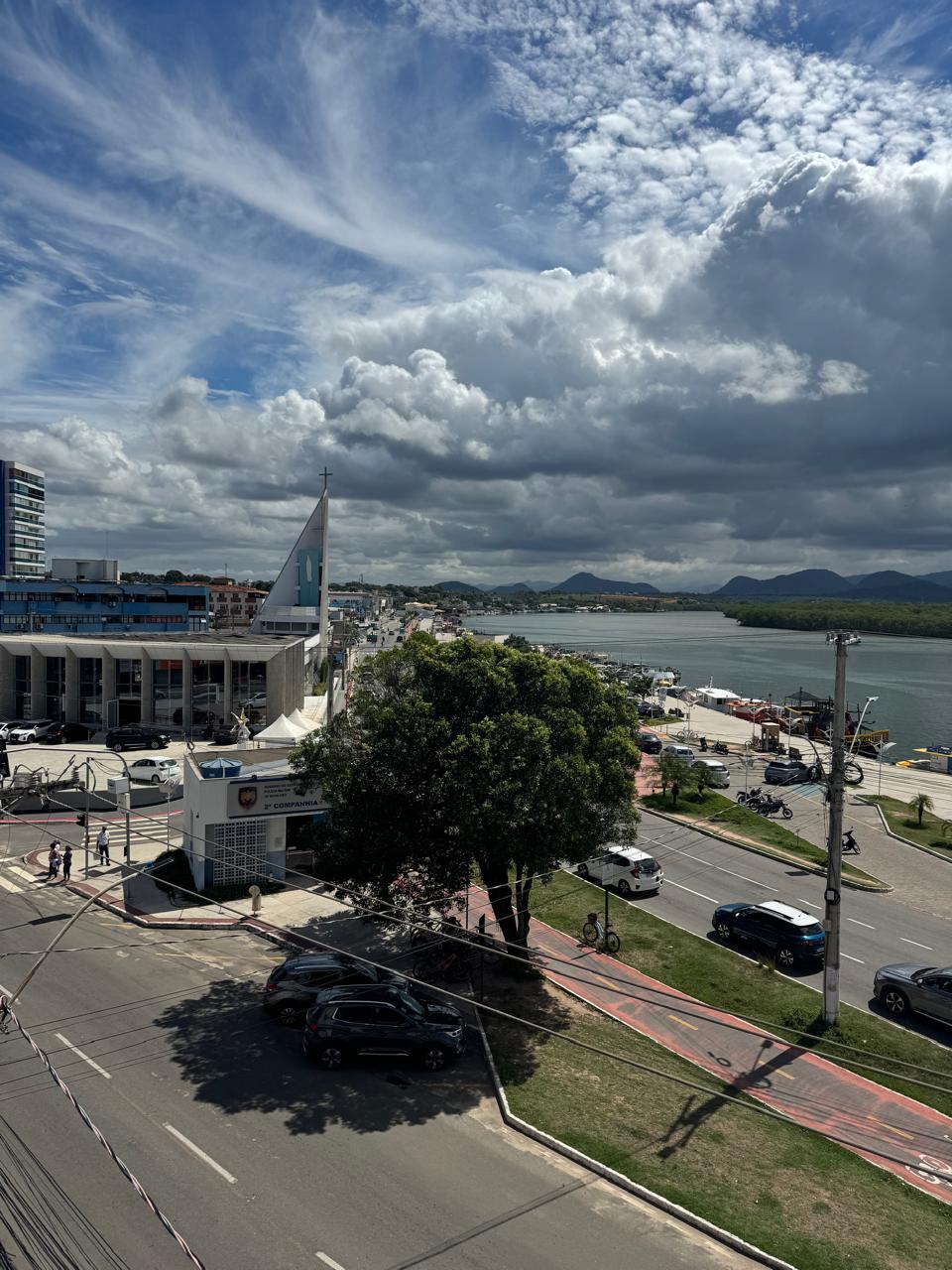 Guarapari define regras para comercialização de palmito durante a Semana Santa