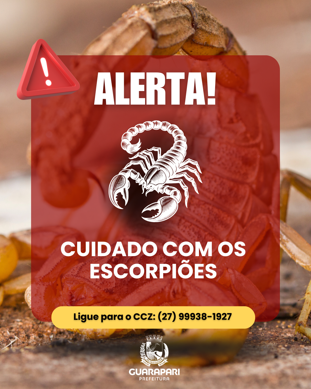 Aparecimento de escorpião deve ser informado ao CCZ de Guarapari