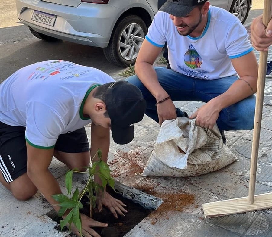  Projeto Arborizando a Vida deixa a cidade cada vez mais verde