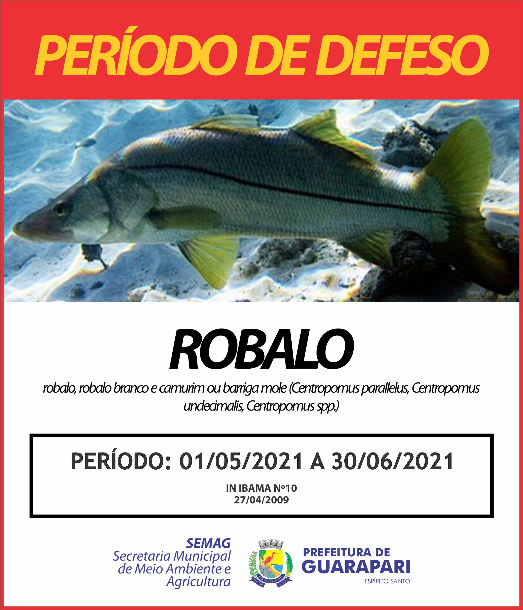 Começa neste sábado (01) o período de defeso do robalo