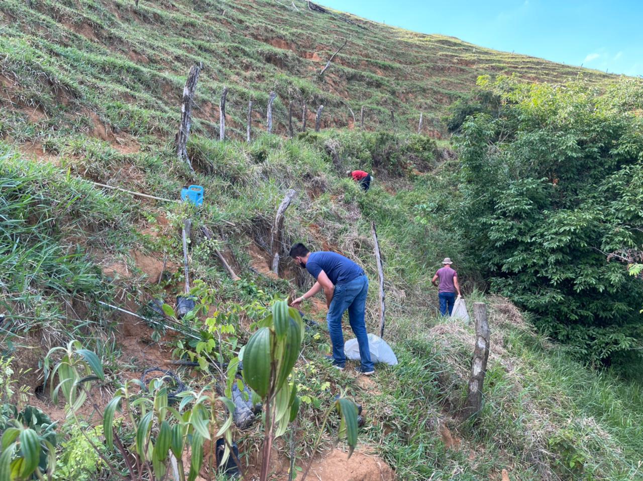 Prefeitura realiza plantio de árvores para recuperação de nascente em Cabeça Quebrada