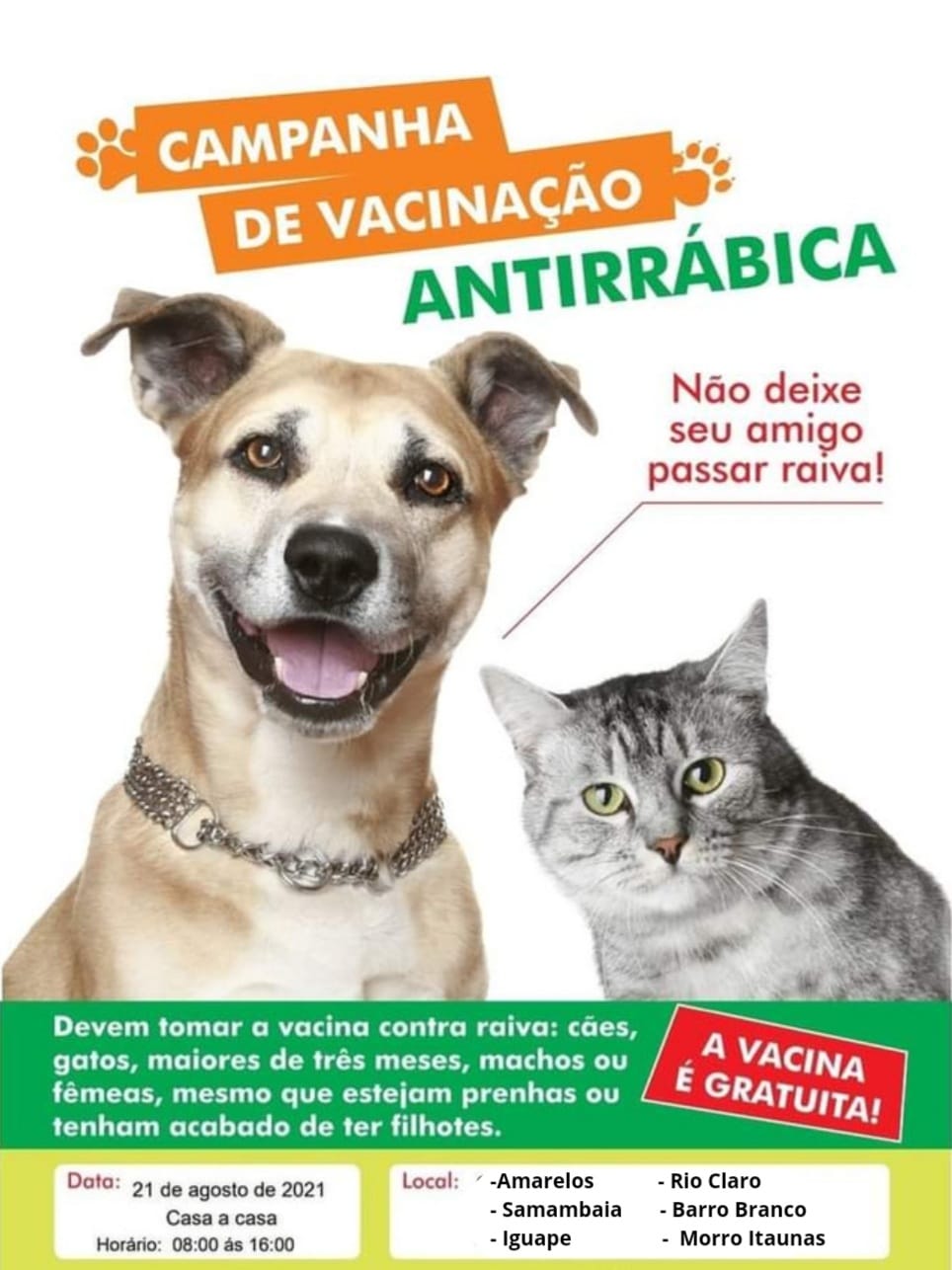 Prefeitura de Guarapari inicia campanha de vacinação antirrábica para cães e gatos no próximo sábado 