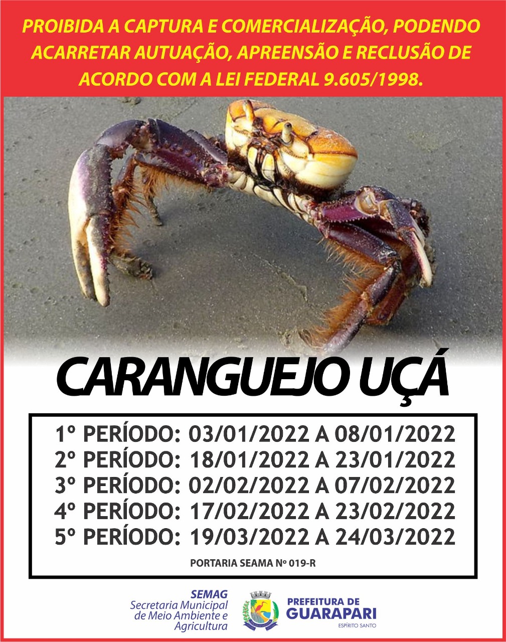 Estamos no quarto período de defeso do caranguejo-uçá