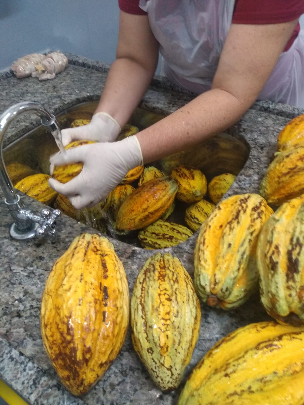 Prefeitura realiza curso para Processamento de Receitas do Cacau. 