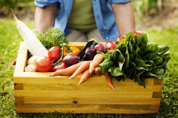 Prefeitura promoverá Semana da Melhor Nutrição