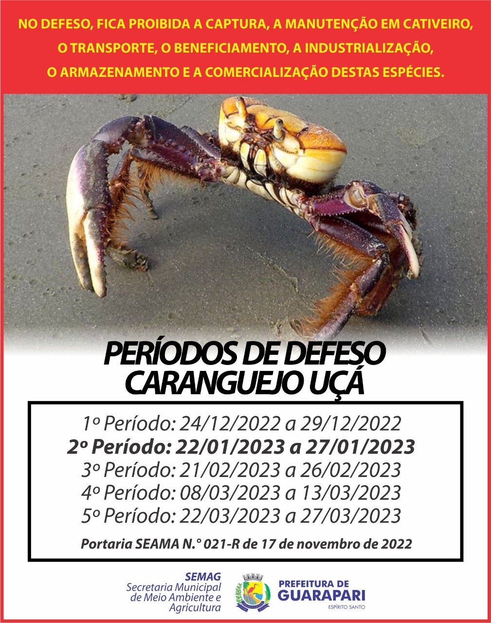 Começou neste domingo (22), o segundo período de defeso do Caranguejo-Uçá.