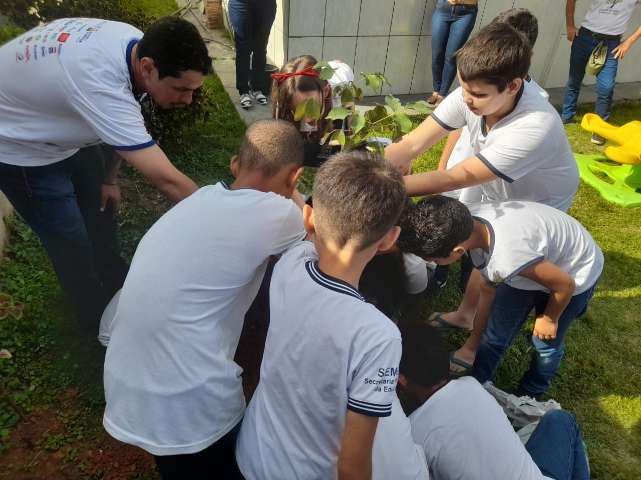 Prefeitura realiza plantio de mudas em Escola Municipal