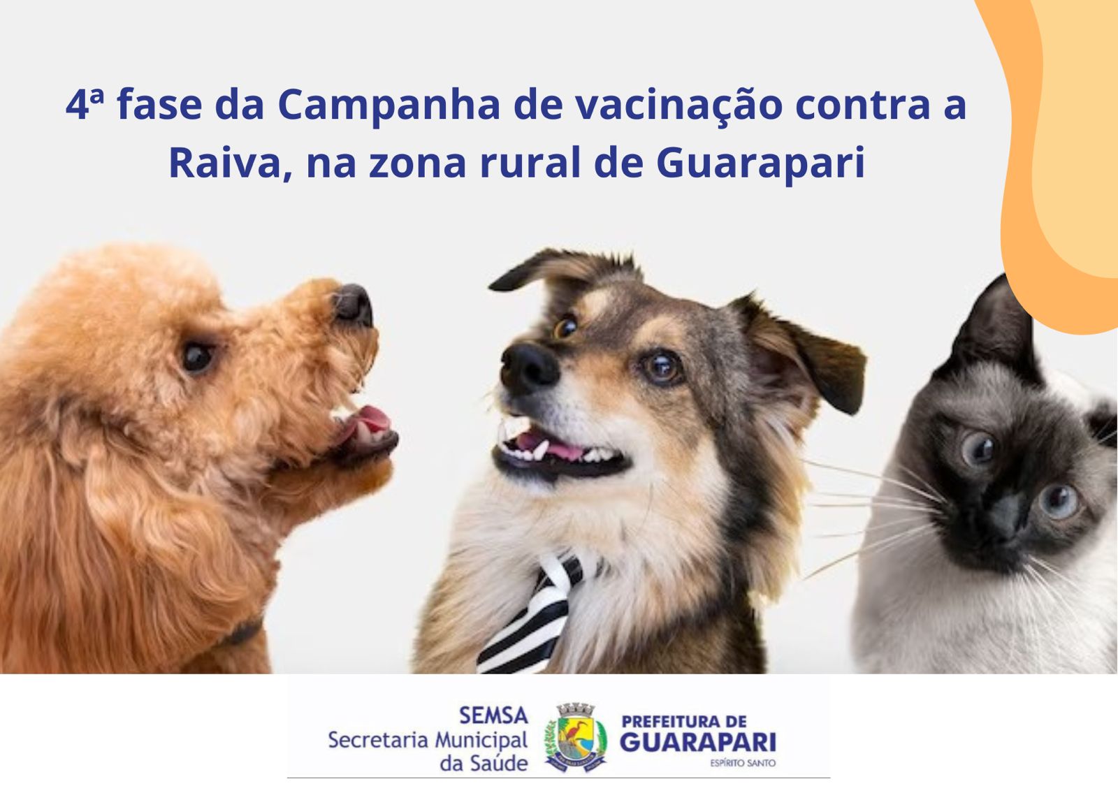 Neste sábado (12), acontecerá a 4ª fase da Campanha de vacinação contra a Raiva, na zona rural de Guarapari
