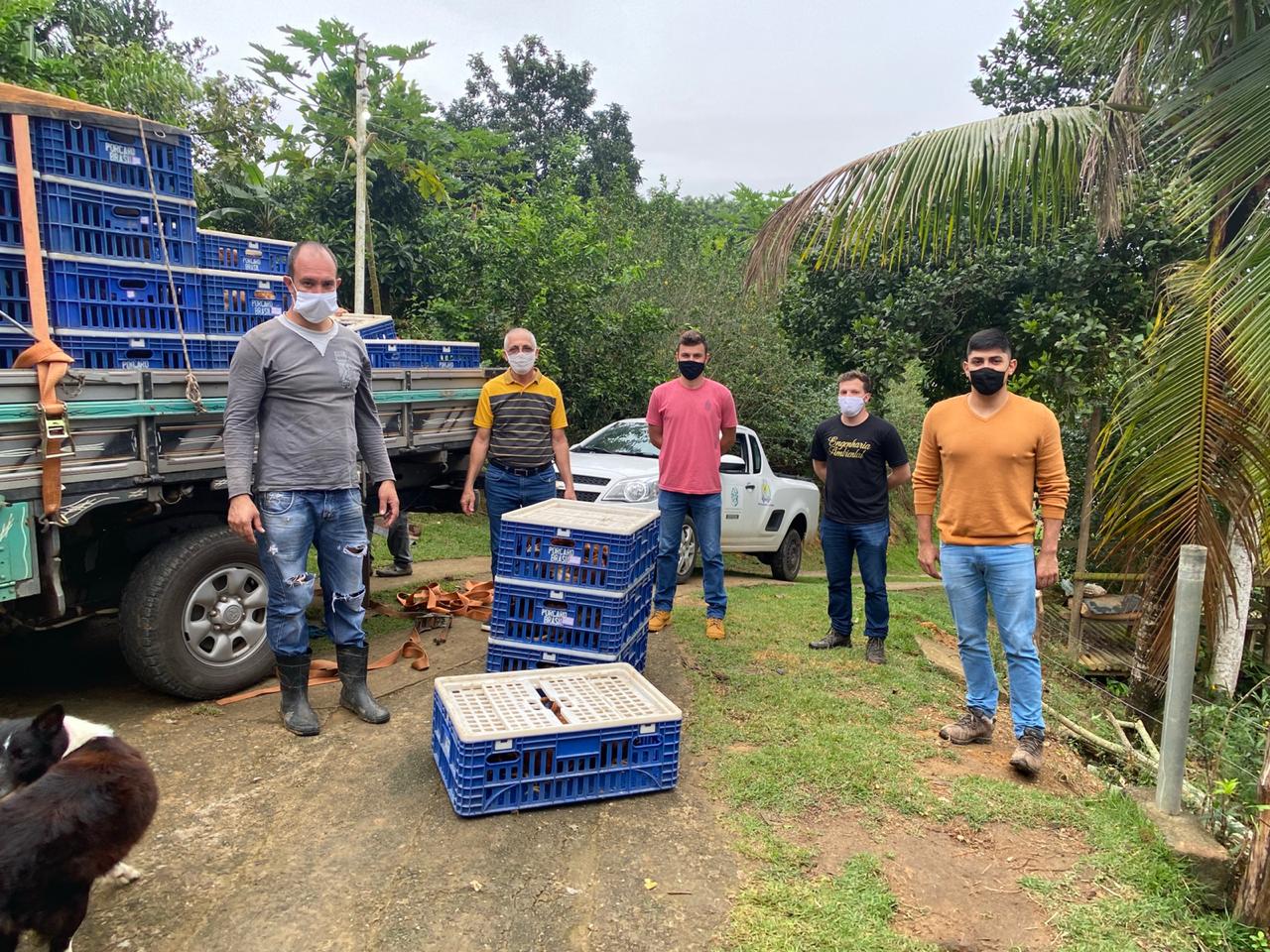 Prefeitura entrega 500 aves para incentivo à produção de ovos caipiras em Guarapari 