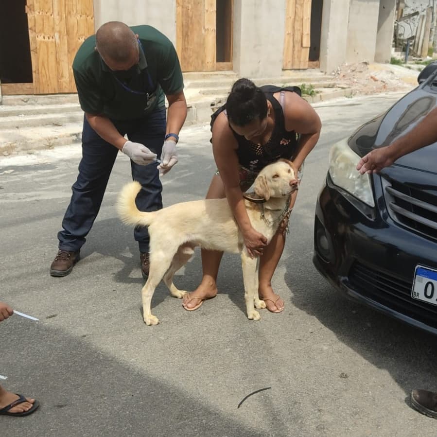 Prefeitura de Guarapari supera meta vacinal de cães e gatos contra raiva