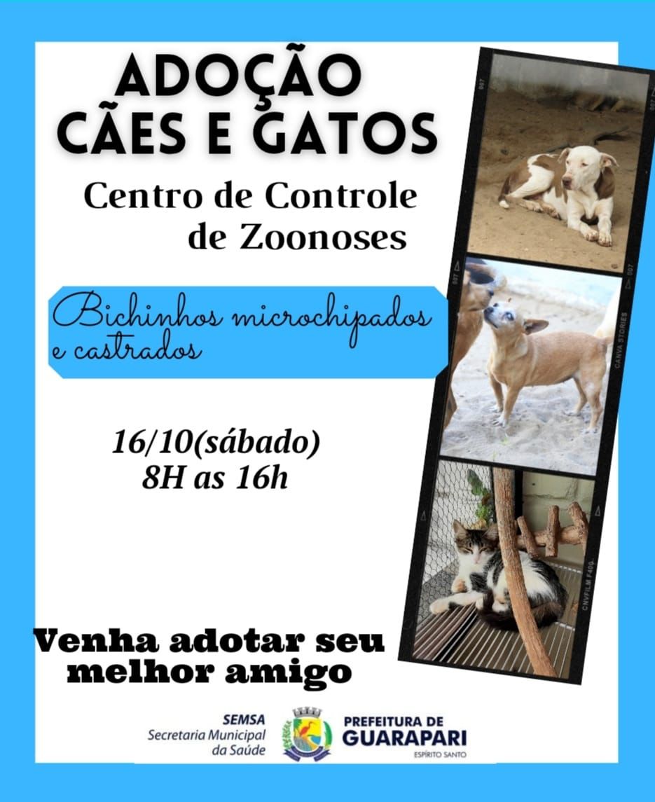 Guarapari realiza feira de adoção de cães e gatos neste sábado no CCZ